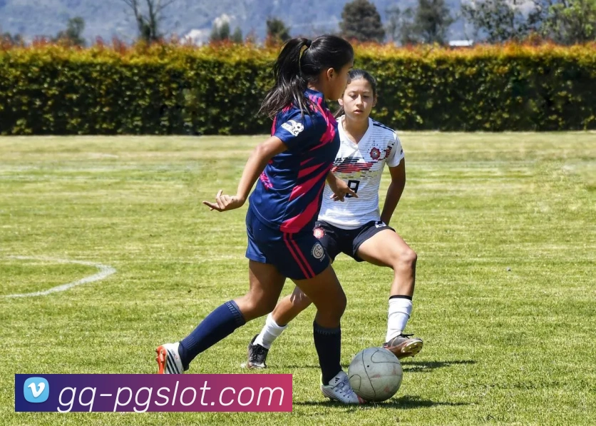 森林舞会官网发展历程